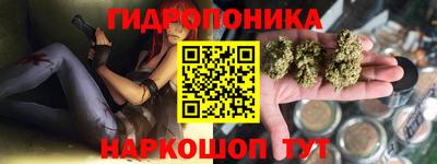 крисы Коммунар
