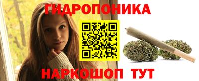 крисы Коммунар