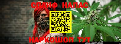 крисы Коммунар