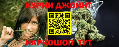 крисы Коммунар