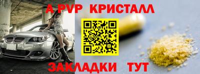 стафф Кимры